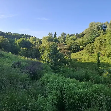 Blisko Lasu Z Ogrodkiem شقة غدانسك
