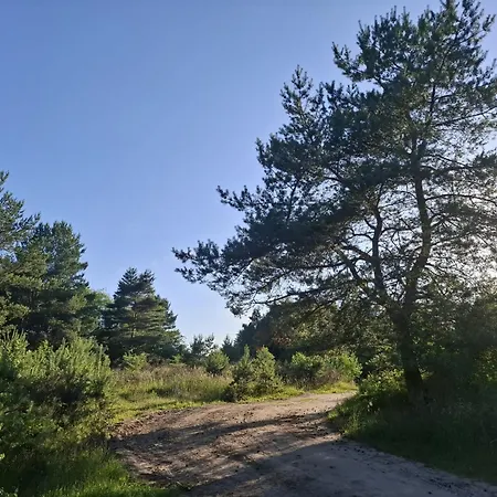Blisko Lasu Z Ogrodkiem شقة